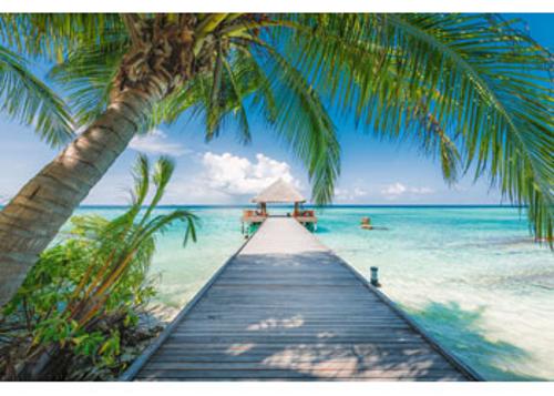 Dream Beach in the Maldives Jigsaw Puzzle 4000 Piece Ravensburger
