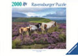 Wild Horses in the Heather Jigsaw Puzzle 2000 Piece Ravensburger
