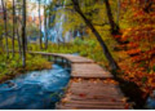 Autumnal Forest path Jigsaw Puzzle 1000 Piece Ravensburger