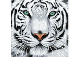 Crystal Art - White Tiger 30x30cm Kit