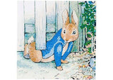 Crystal Art - Peter Under the Fence 18x18cm Card