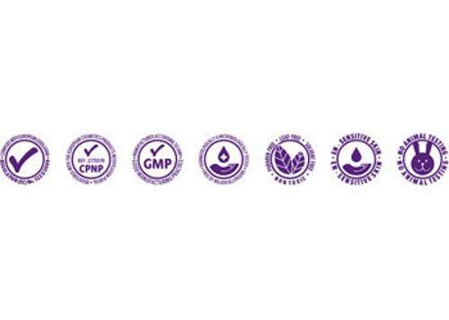 Little Brian Face Paint Sticks - Classic 12 pk
