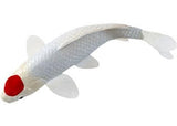 Mojo - Tancho Koi Carp