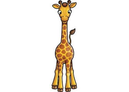 Orchard Toys - Jungle Heads & Tails