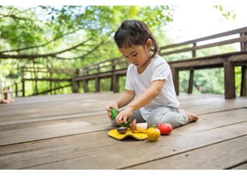PlanToys - Vegetable Set Assorted