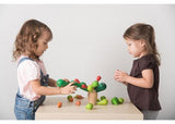 PlanToys - Balancing Cactus