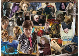 Ravensburger - The World of Harry Potter Puzzle 2x500 Pieces