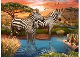 Ravensburger - Zebras at Waterhole Puzzle 500 Pieces