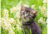 Ravensburger - Kitten in the Meadow Puzzle 500 Pieces