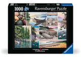 Ravensburger - West Coast Tranquility Puzzle 1000 Pieces