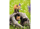 Ravensburger - Curious Foxes Puzzle 300 Pieces