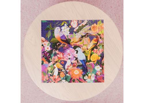 Ravensburger - Bird Watching Art & Soul Puzzle 750 Pieces