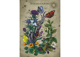 Ravensburger - Lifecircle Butterfly Puzzle 1000 Pieces
