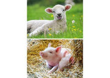 Ravensburger - Farm Animals Babies Puzzle 2x12 Pieces