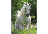 Ravensburger - Horse in Flowers Puzzle 100 Pieces