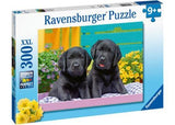 Ravensburger - Puppy Life Puzzle 300 Pieces