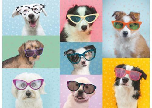 Ravensburger - Funny Dogs Puzzle 150 Pieces