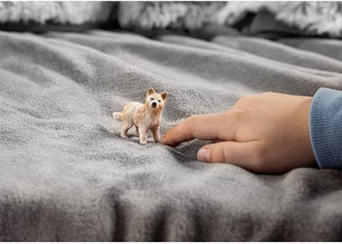 Schleich - Arctic Wolf Cub