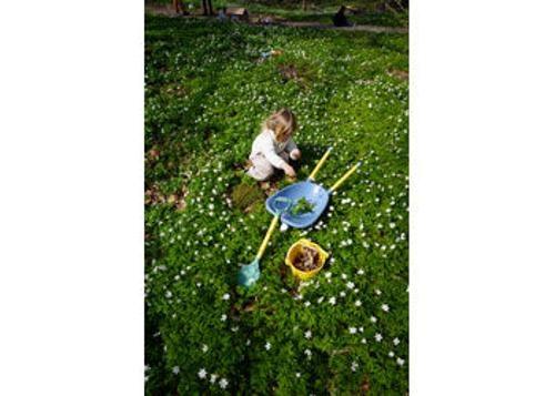 Viking Toys - Reline - Wheelbarrow