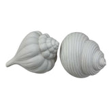 White Shell Ornaments Set of 2 14cm