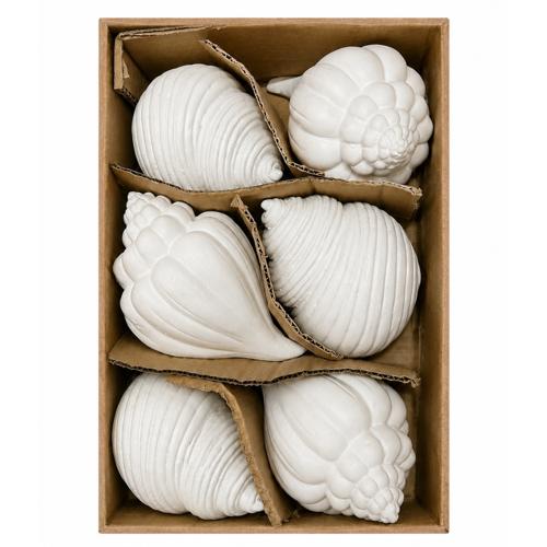White Shell Ornaments Set of 2 14cm
