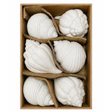 White Shell Ornaments Set of 2 14cm