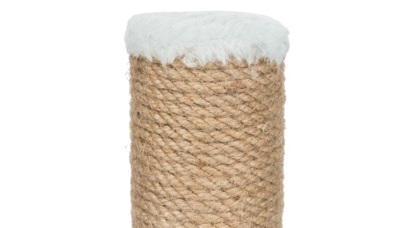 Mint-colored cat scratching post, 42cm tall, designed for playful kittens to satisfy scratching instincts.