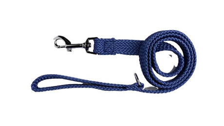 Durable blue nylon dog lead, 20mm wide and 245cm long, featuring chrome snap hook and 'D' ring for waste bags.