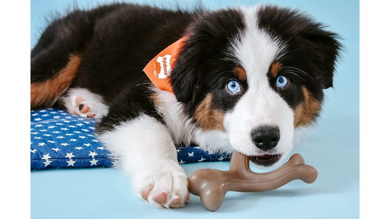 Puppy Chew - Gourmet Strong Wishbone