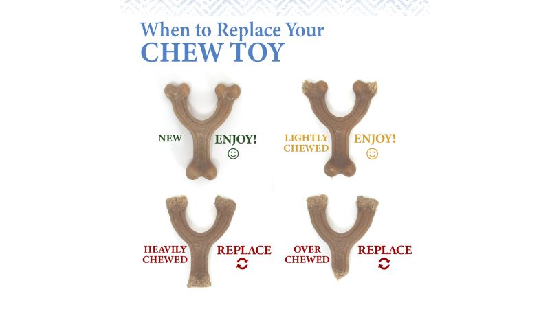 Puppy Chew - Gourmet Strong Wishbone