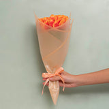 Cello Frosted Hue Silhouette 50mic Apricot Pk100