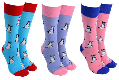 Assorted sock set featuring whimsical bow tie cat designs, perfect for comfort and style for cat lovers.