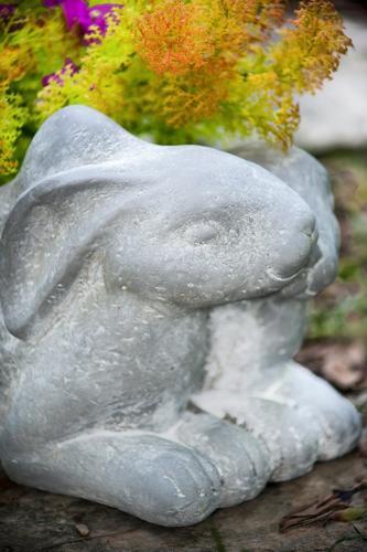 Rabbit Planter - 300 X 240 X 180