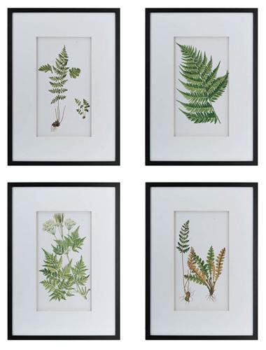 Botanical Wal Art Set of 4