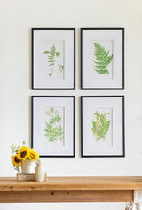 Botanical Wal Art Set of 4