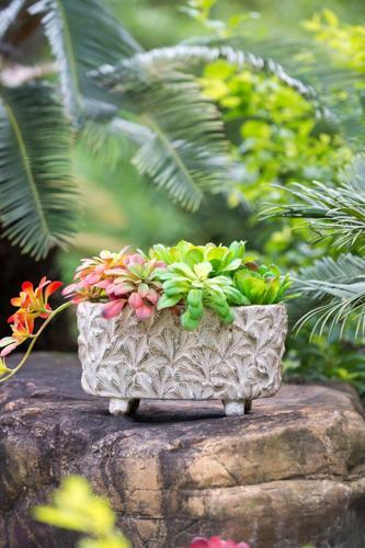Terracotta Planter - 240 X 125 X 125