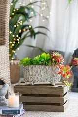 Terracotta Planter - 290 X 155 X 140