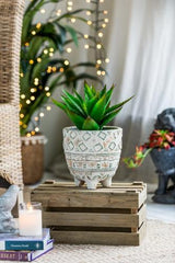 Terracotta Planter - 210 X 210 X 215