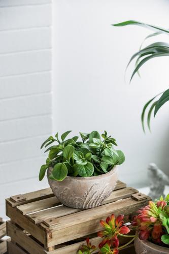 Terracotta Planter - 185 X 185 X 100