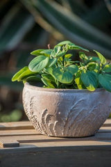 Terracotta Planter - 185 X 185 X 100
