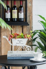 Trolley Planter - 290 X 100 X 180