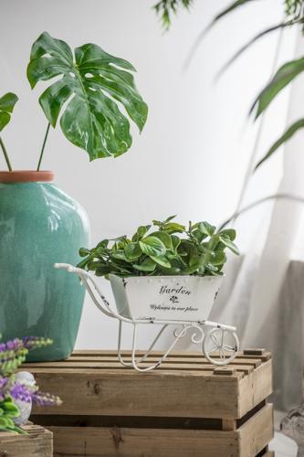 Trolley Planter - 290 X 100 X 180