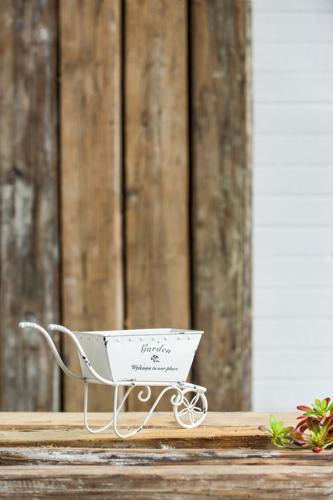 Trolley Planter - 290 X 100 X 180