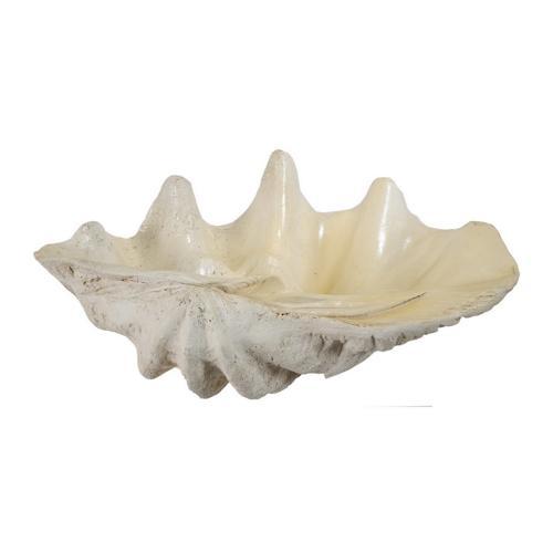 Large Shell