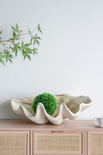 Large Shell
