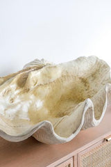 Large Shell