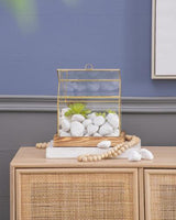 1.2 - 2 Inch Snow White Stone, 5 Lb