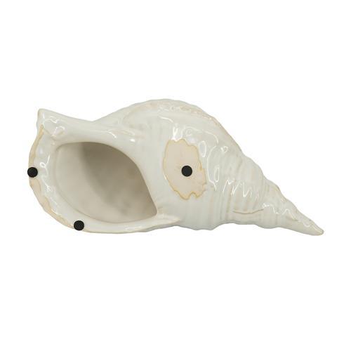 Seashell
