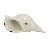 Seashell