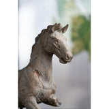 Horse Statue - 360 X 110 X 430